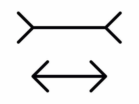 illusions-d-optique-fleches-Muller-Lyer.jpg