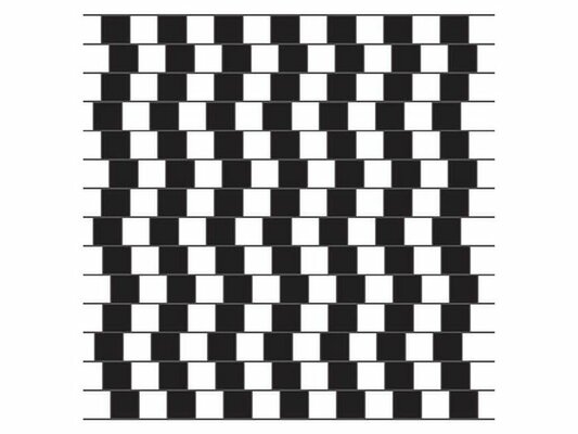 illusions-d-optique-mur-du-cafe.jpg