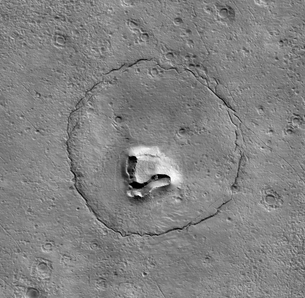 tete-ours-mars.jpg.webp.583f4d4b6931e7bd43940aad7279e1bb.webp